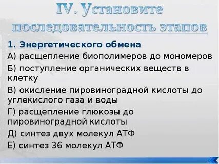 Установите соответствие процессов энергетическому обмену
