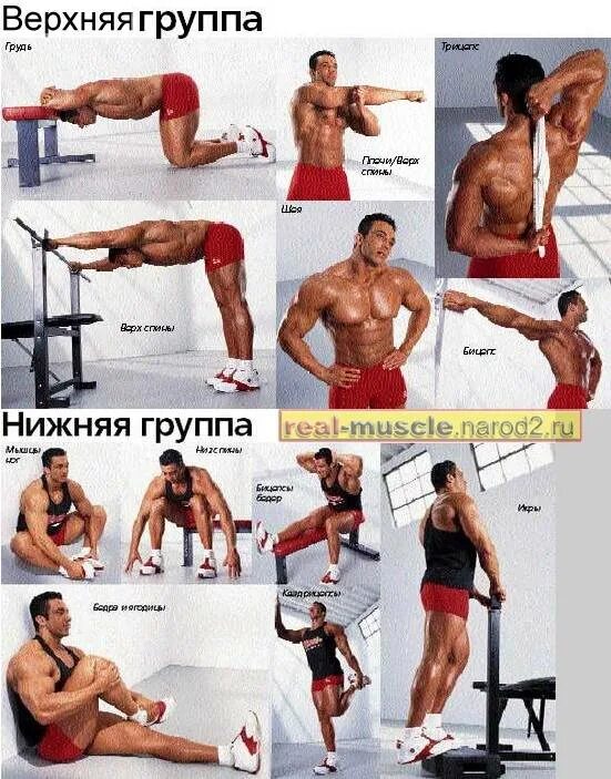 Программа тренировки растяжки
