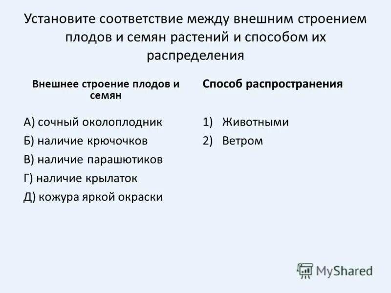 установите соответствие между растениями и плодами. установите соответствие между плодами. установите соответствие между плодами. установите соответствие между плодами. соответствие плодов и растений.