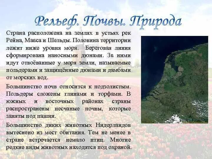 Река рейн география. Сообщение о реке рейн. Река рейн презентация. Сообщение о реке рейн. Описание реки рейн.