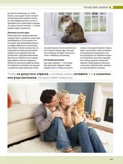 На сколько дней можно оставлять кошку одну