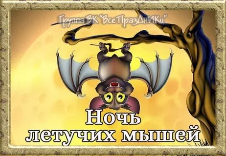 Песня тише летучей мыши
