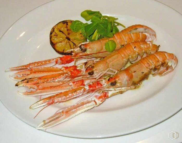 Лангустины быстро и вкусно. Лангусты и лангустины. лалангусто лангустины. лангустины вареные. лангустины фаршированные.