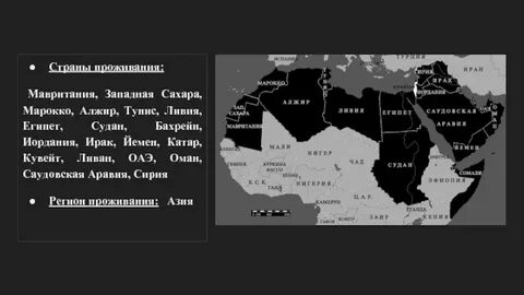 Территорию на которой изначально проживали арабские племена