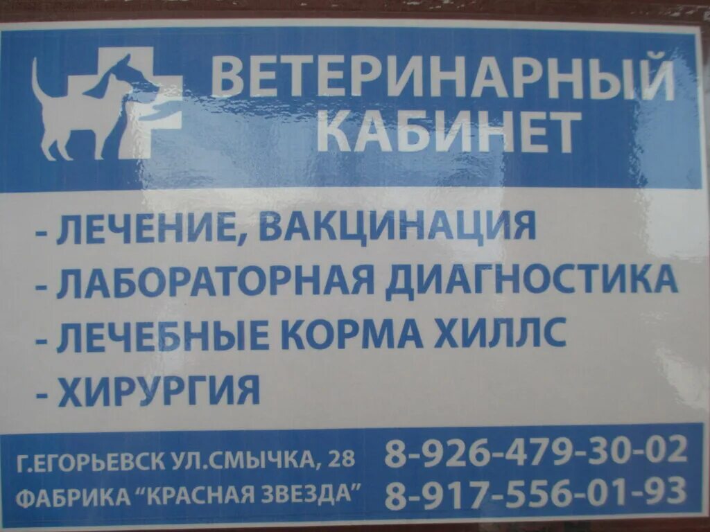 номер телефона государственной ветеринарной клиники. ветеринарная клиника по бабушкина чита. ветеринарная клиника славянск на кубани ул школьная. кировская государственная ветеринарная лечебница. ветеринарная клиника ул.