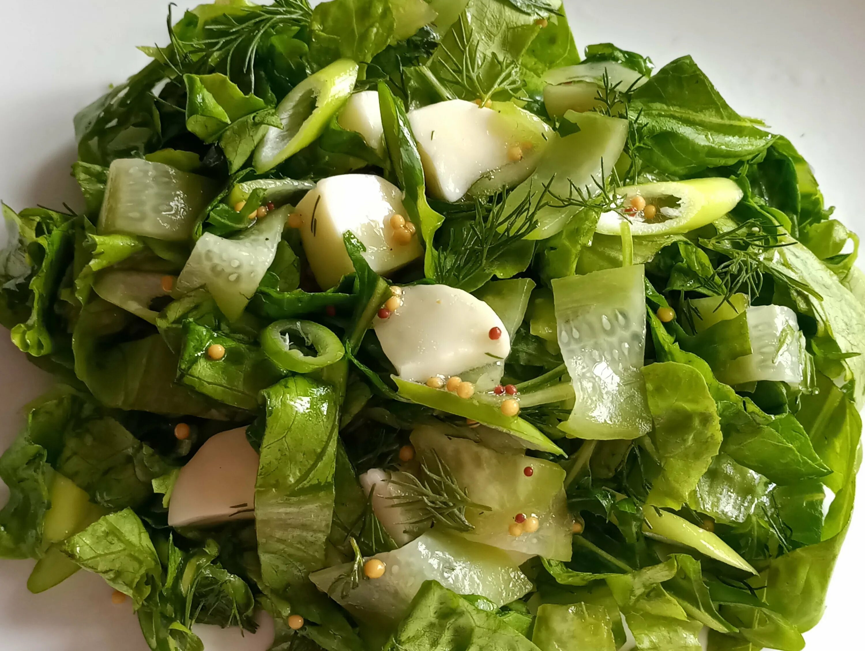 Зелень для салатов. Салат из зелени. Листья салата. Зеленые листики салата. Салат из зеленых овощей