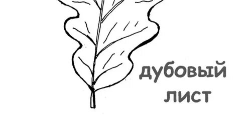 Песня листики дубовые слушать