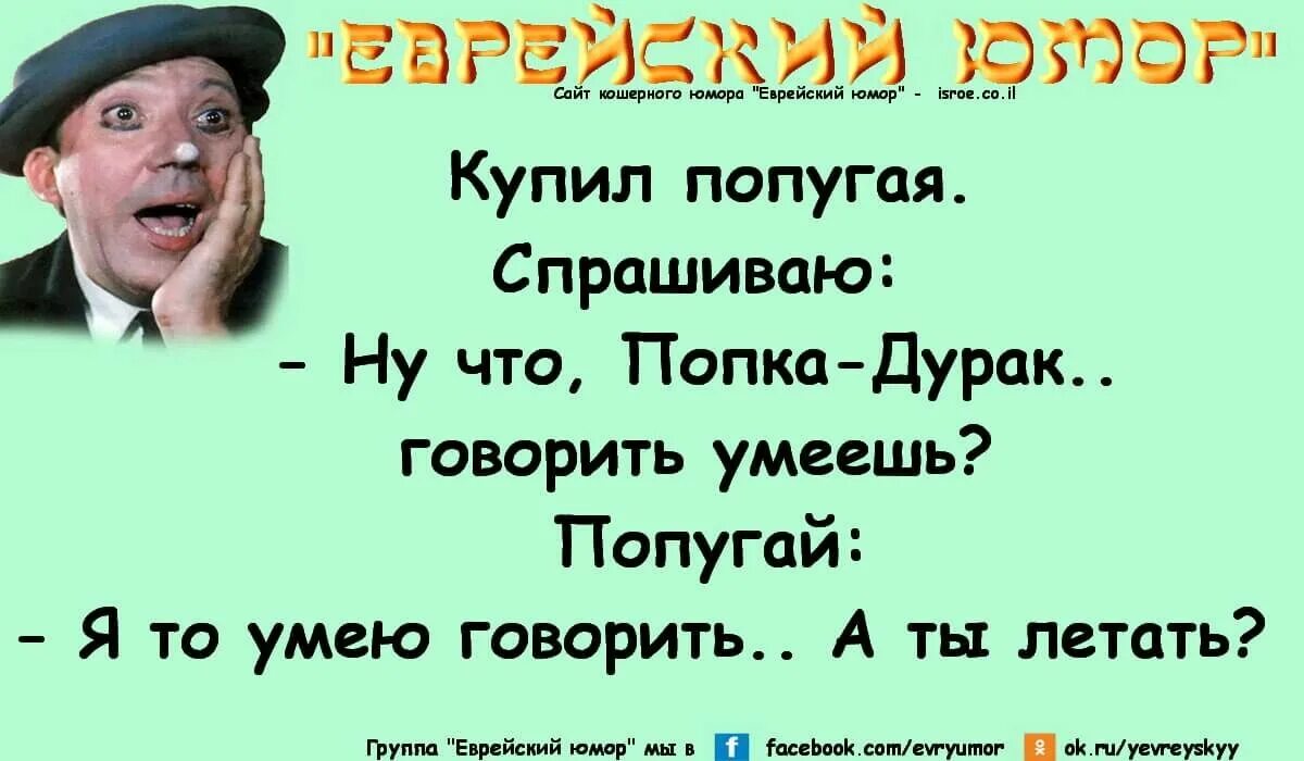 Одесские анекдоты слушать. Еврейские анекдоты. Еврейские анекдоты в картинках. Анекдоты про евреев самые смешные. Одесские анекдоты.