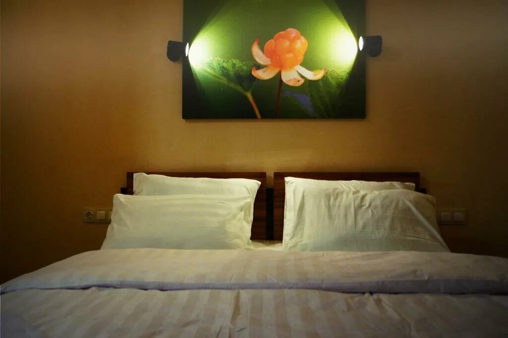 Отель тундра мурманск. Арктик хоум мурманск отель без питания. Тундра мурманск хостел. Тундра мурманск хостел. Отель тундра мурманск.