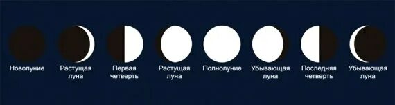 Как выглядит луна в течение месяца. Фазы луны картинки с названиями. новолуние рост луны полнолуние старение. изменение луны в течение месяца. наблюдение за луной в течение месяца.