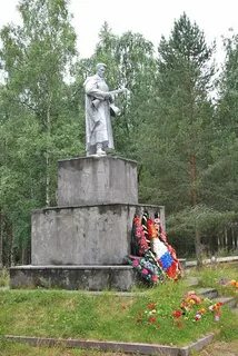 Лоухский сосновый