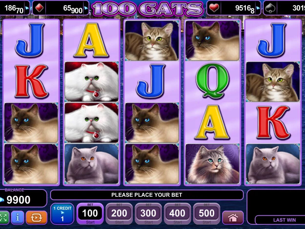Cat casino вход cat play pw. Кошка в игровом автомате. Слот с кошками. Cat Casino игровые автоматы. Игра слоты кошки.