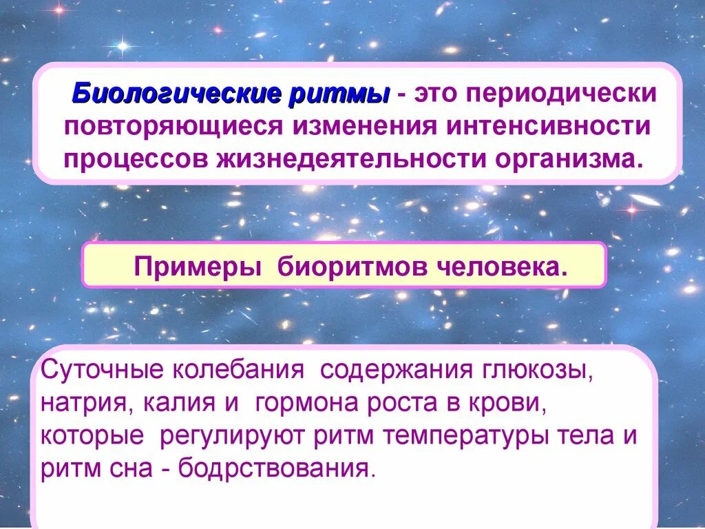 Биологические ритмы и сон