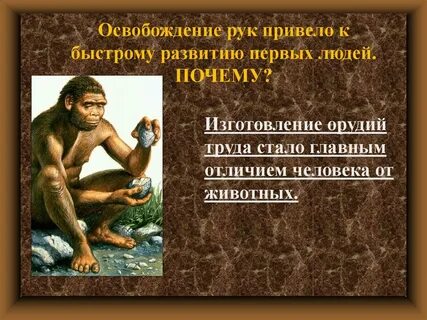 Освобожденные руки