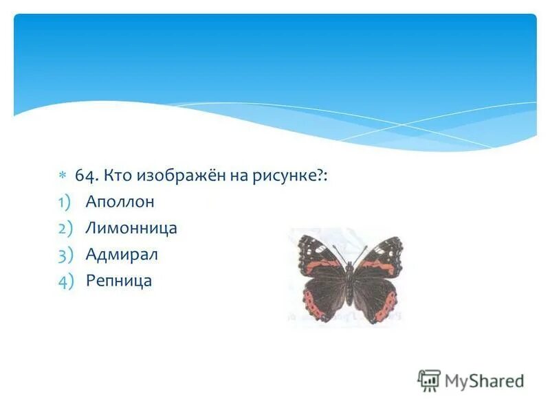 Насекомые 1 класс окружающий мир. Тест по теме насекомые 3 класс. Насекомые тест 2 класс. Тест по теме насекомые 3 класс. Тесты якоасс насекомые.
