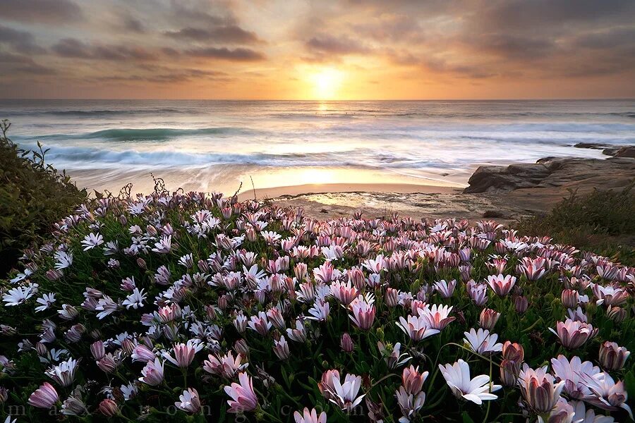 Озеро нонг хан кумпхавапи, таиланд. Горы. Индийский парк «долина цветов». Мир расцвел. Море весной.