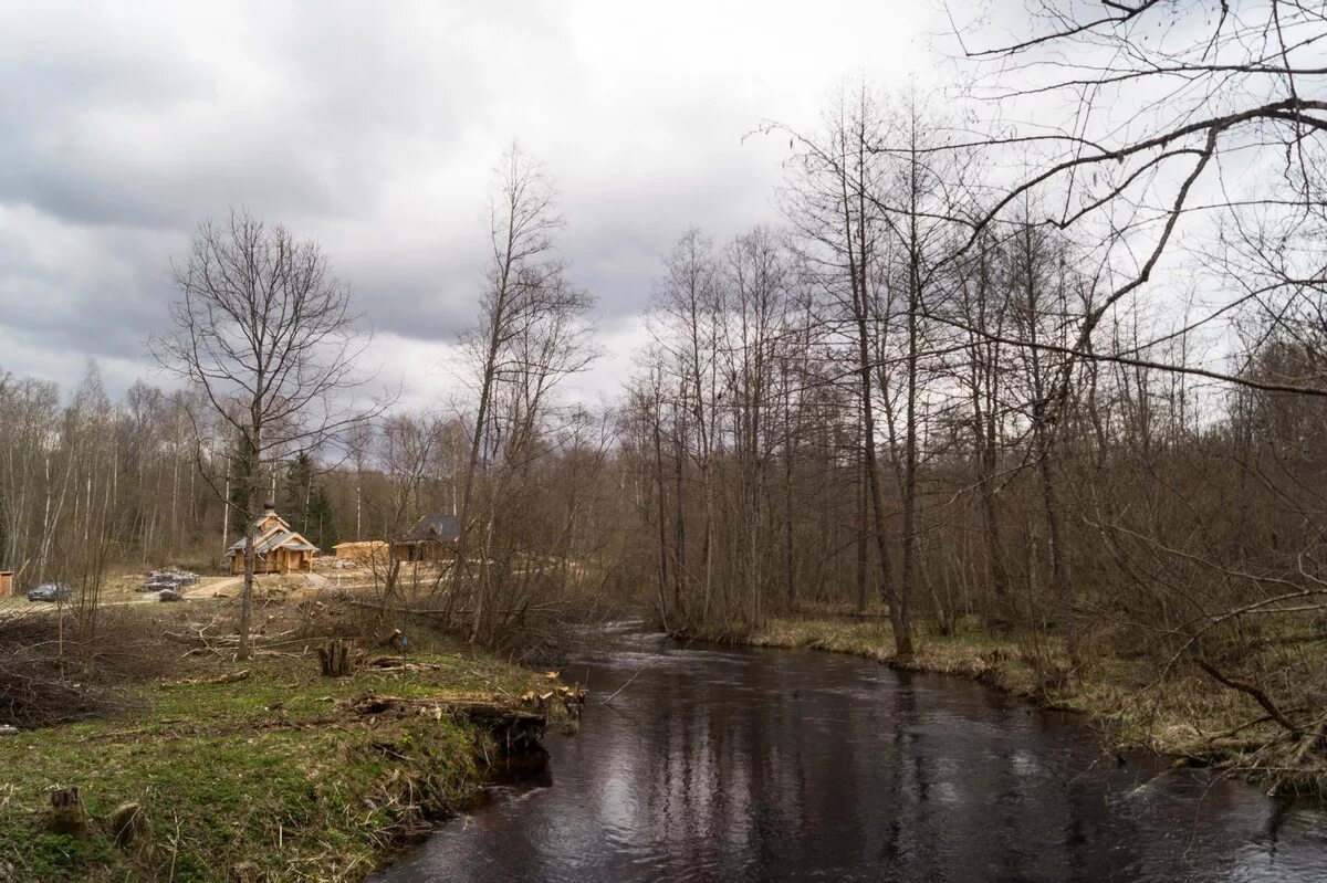 речка долгая. река долгая ленинградская область. речка долгая. андога вологодская область. река андога.