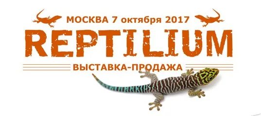 Рептилиум билеты. Рептилиум. санкт-петербурге рептилиум. рептилиум 2025. рептилиум лого.