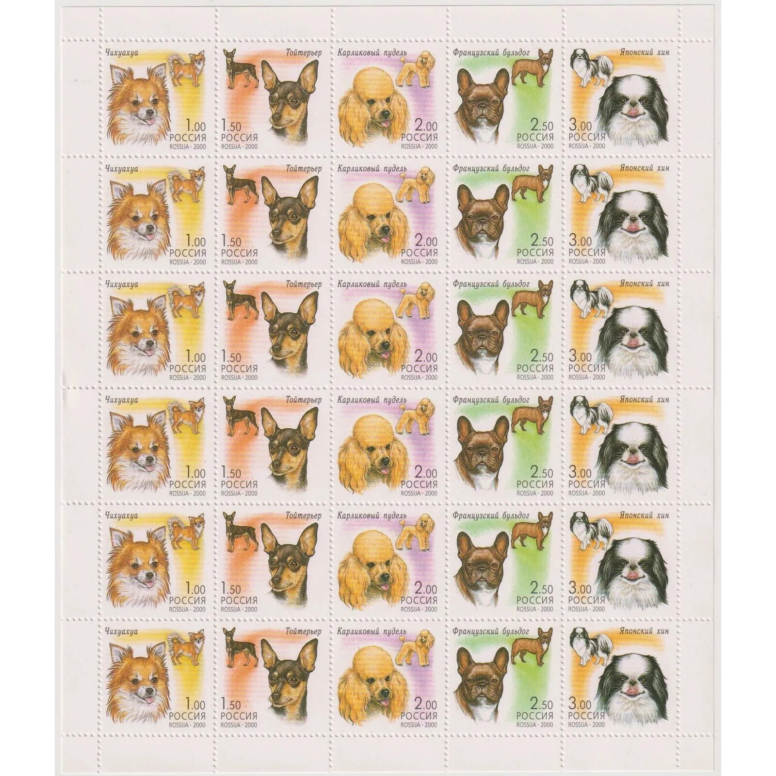 Пазл ассоциации 5 элементов микс проф пресс. Ak 1931 dogs. 2000 dogs в рублях. Собака для ворда. Стоит 2000 собаки 2000.