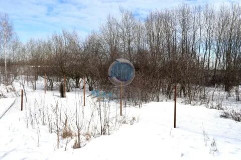 Провайдер снт