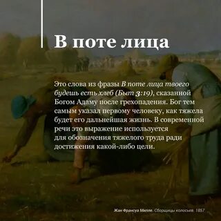В поте лица твоего будешь есть хлеб