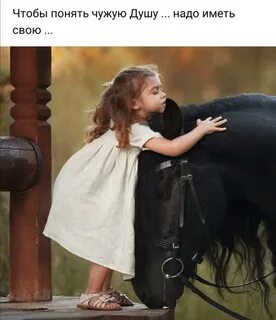 Вы не чужой вы свой как понять