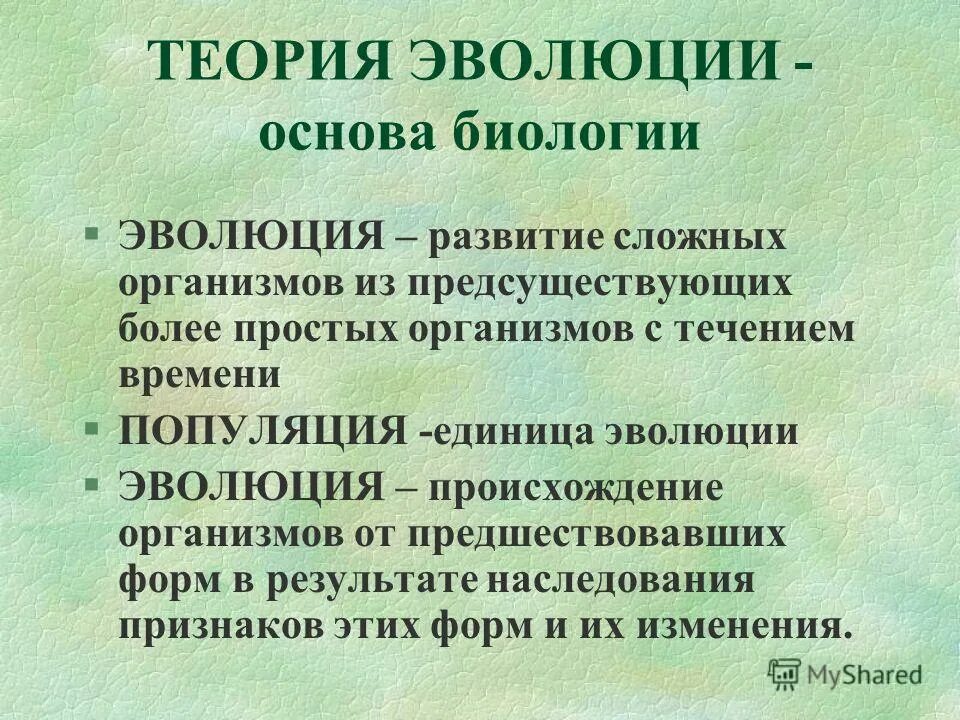 Основы эволюционного учения. Эволюционное учение. Изучение генетических основ эволюции. Основы учения эволюции. Эчолюцияи генетические основы.