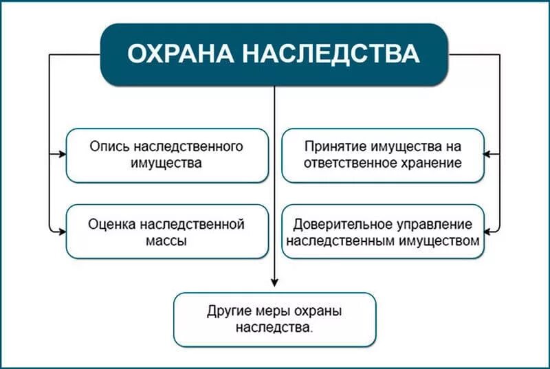 Меры по охране наследства схема. Охрана наследства и управление им. Охранан аслдственного имущества. Меры охраны наследственного имущества.