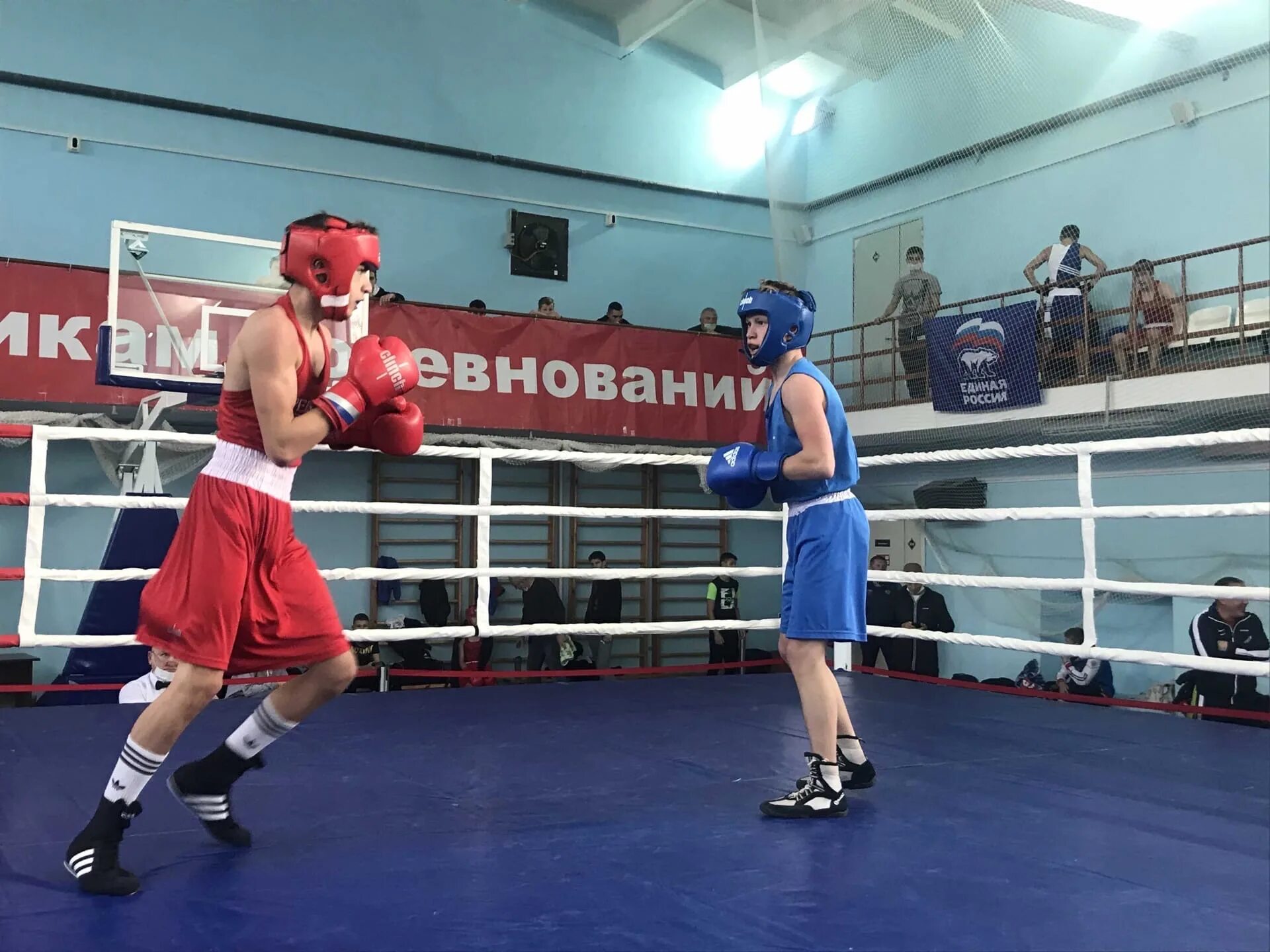 Rus boxing. Rus boxing. Габил мамедов (rus). Бокс спарринг. Rus boxing.