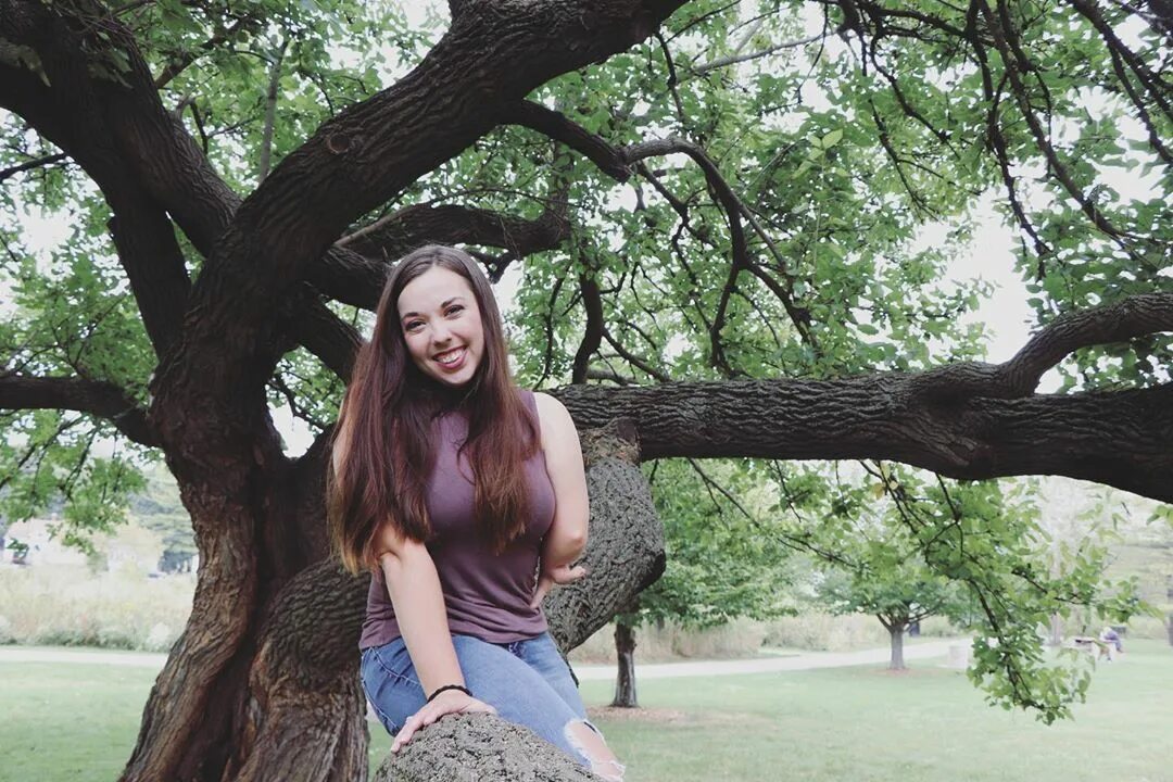 Tree sitter. Tree sitter