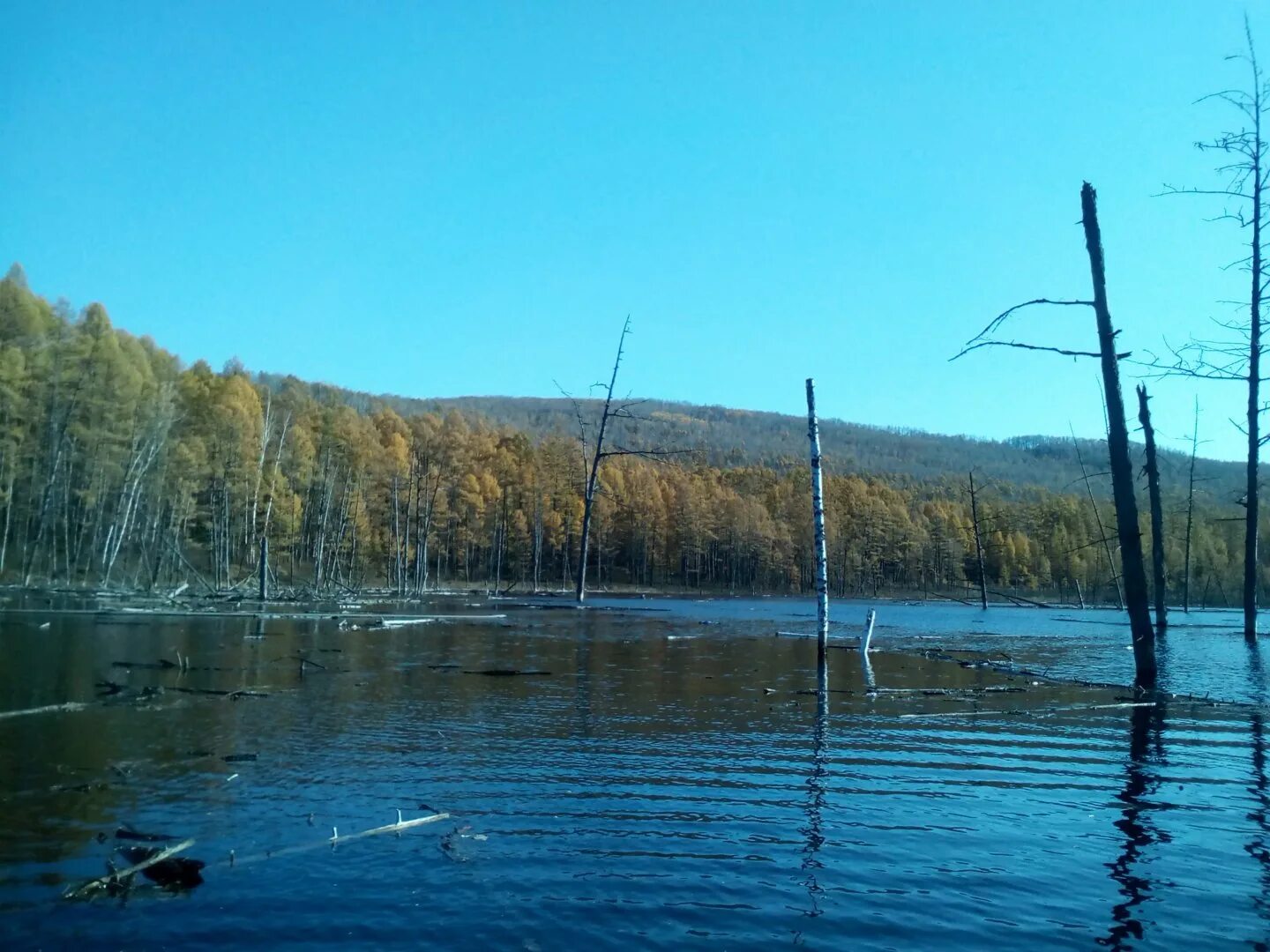 Погода в бурее амурской области