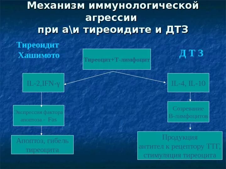 Аутоиммунный тиреоидит и диффузный токсический зоб. Диффузный токсический зоб и аутоиммунный тиреоидит разница. Диф диагностика диффузно токсического зоба и аутоимунного тиреодита. Диффузный токсический зоб дифференциальная диагностика. Диффузный аутоиммунном тиреоидите