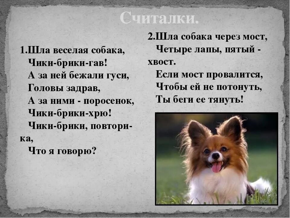 Текст песни соберись щенки