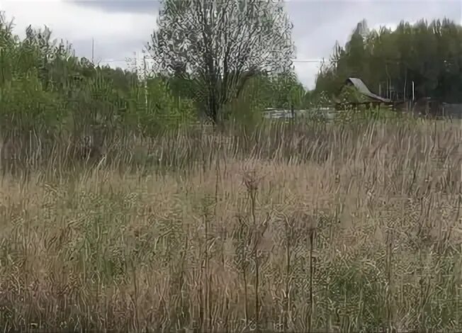 Снт орион