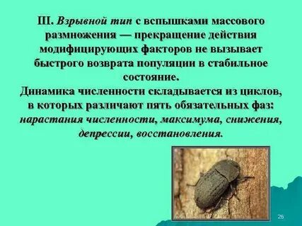 Вспышка насекомых