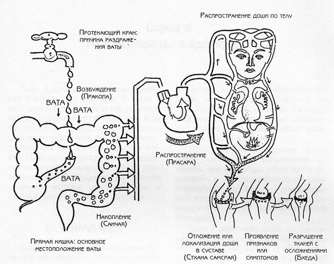 Кольберга. Шесть стадий. Для предварительного этапа карьеры менеджер. 6 стадий морального развития по кольбергу. 6 стадий проекта.