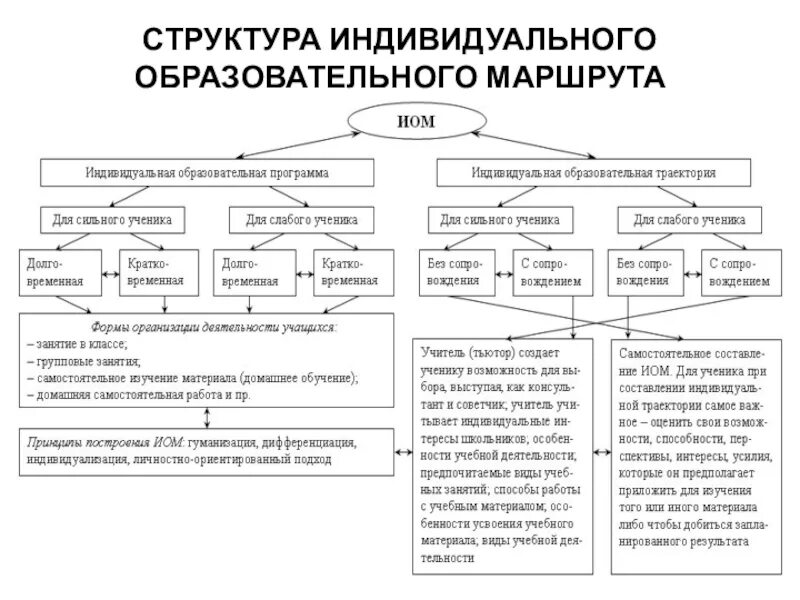 Структура индивидуального образовательного маршрута. Структура индивидуальной программы. Компоненты структуры индивидуального образовательного маршрута. Структура ИОМ.