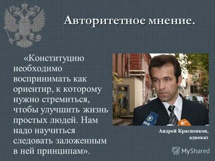 Конституция мнение