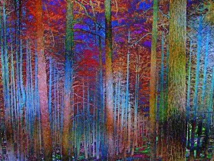 Colorful woods