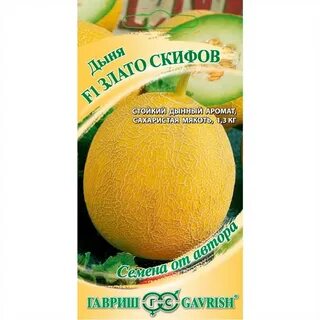 Дыня злато скифов