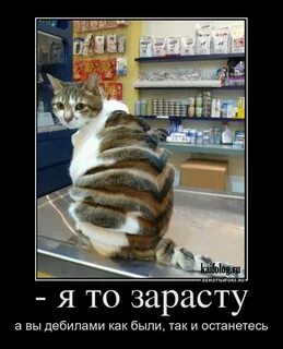 Мне попалась какая то заросшая