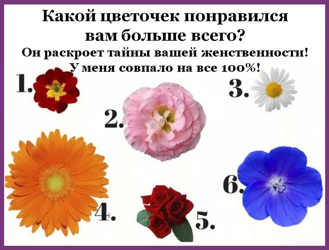 Как определить какой цветок. Цветочный тест. тест цветы. психологический тест цветок. выберите цветок тест.