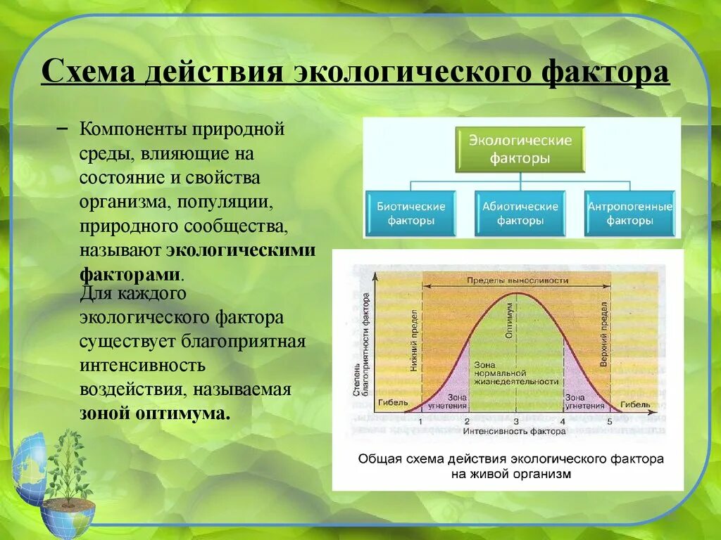 Схема воздействия экологических факторов на организм. Схема действия экологического фактора. Действие экологического фактора на живой организм. Схема действия экологического фактора на организм. Реакции организмов на факторы среды