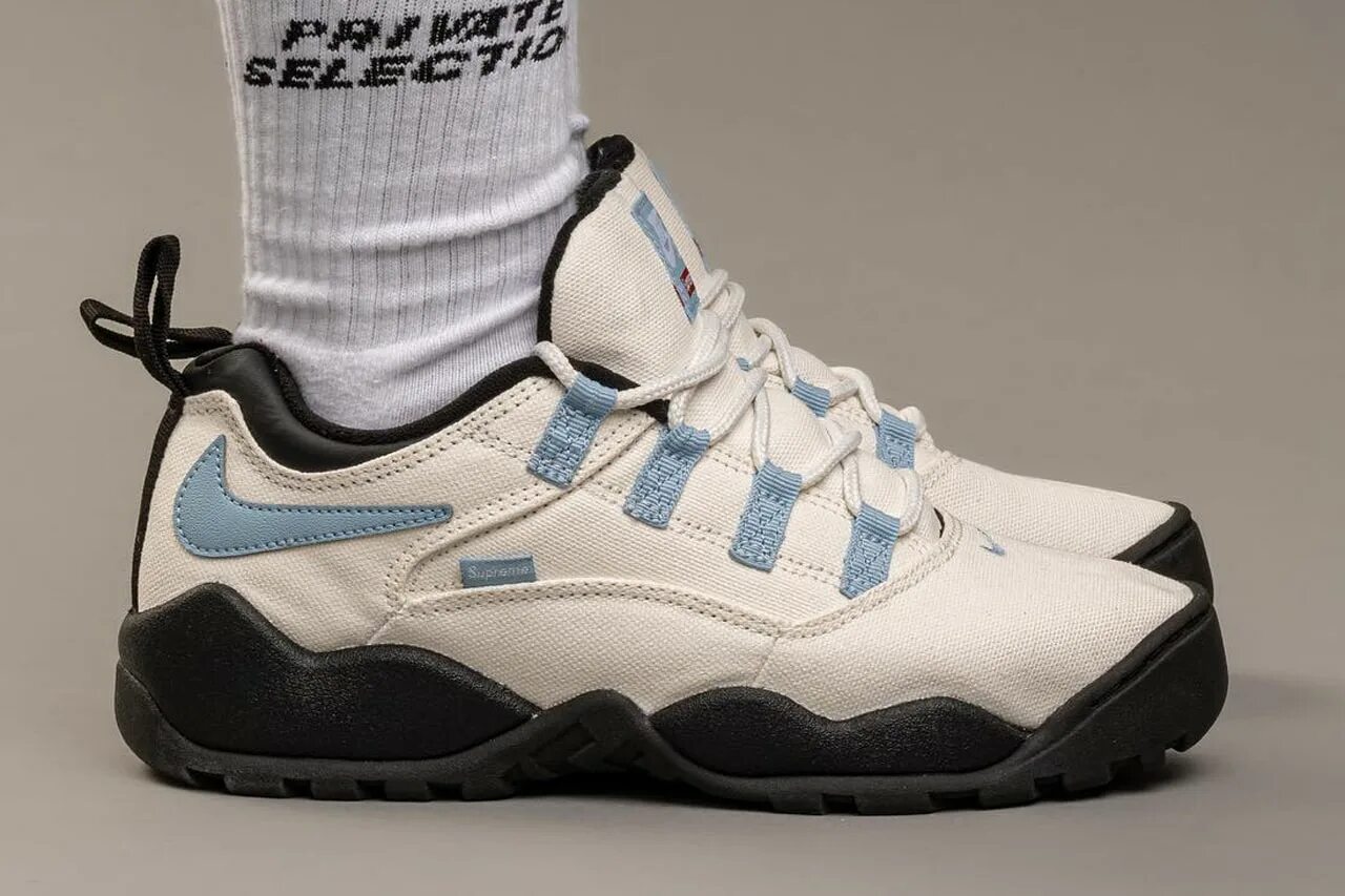 Sb darwin low. Nike air darwin sb. Найк аир дарвин лоу. Sb darwin low. Supreme nike sb darwin low.