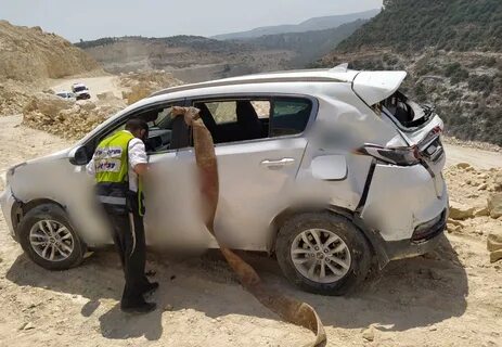 סמוך לשעה 10:00 הבוקר, התקבל דיווח במוקד זק*א על תאונת העבודה במחצבת עציונה...