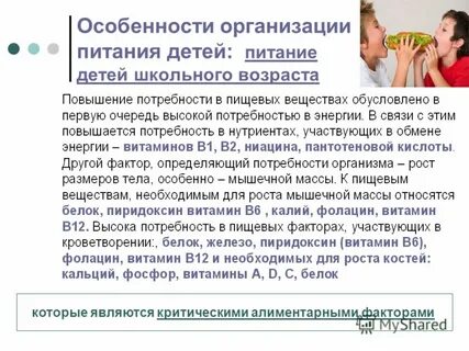 Особенности организации питания