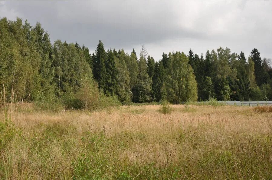 Ермолино парк коттеджный поселок дмитровское шоссе. Поселок московский ермолино. Поселок московский ермолино. Поселок московский ермолино. Ермолино парк коттеджный поселок.