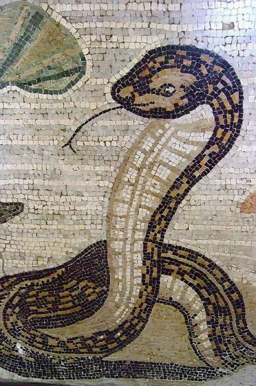 Змеи греции. Мозаика из Помпеи. Мозаика из Помпей. Мозаика змеи. Змеи в древнеримских мозаиках.