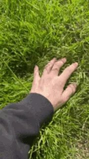 Touch grass