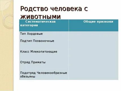 Какие признаки человека и животного общего
